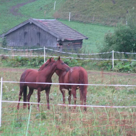 Han/Misafirhane Gaestehaus Brandnerhof Garmisch-Partenkirchen