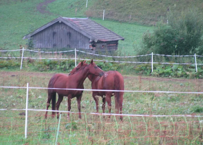 Inn Gaestehaus Brandnerhof Garmisch-Partenkirchen